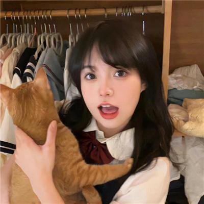 凤凰号