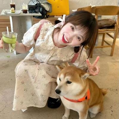 牡丹花血案